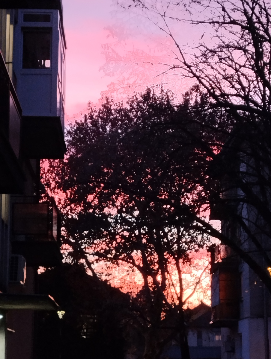 Небо было невероятной красоты... Фото не передаёт все краски.