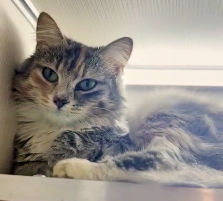 Ясмин позирует