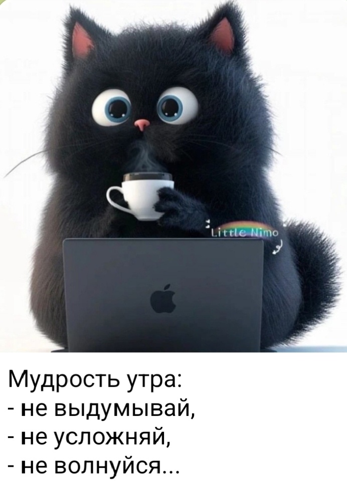 Фото из интернета..