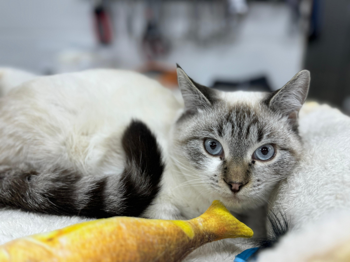 Томас. Первые дни в клинике 