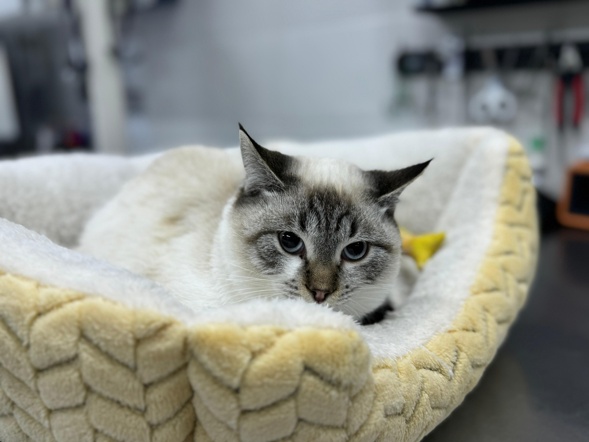 Томас в клинике 