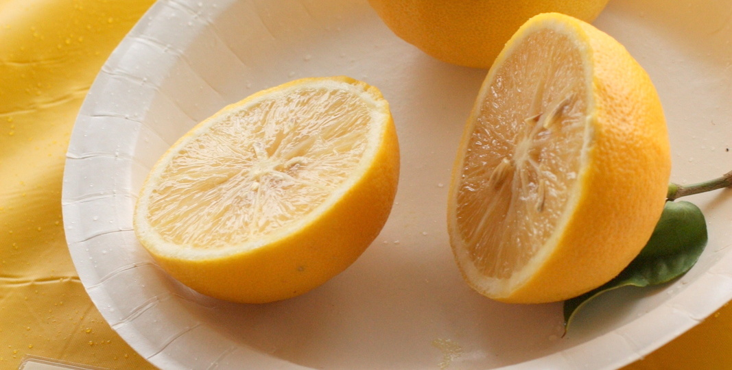 Бергамот: загадочный цитрус и аромат чая