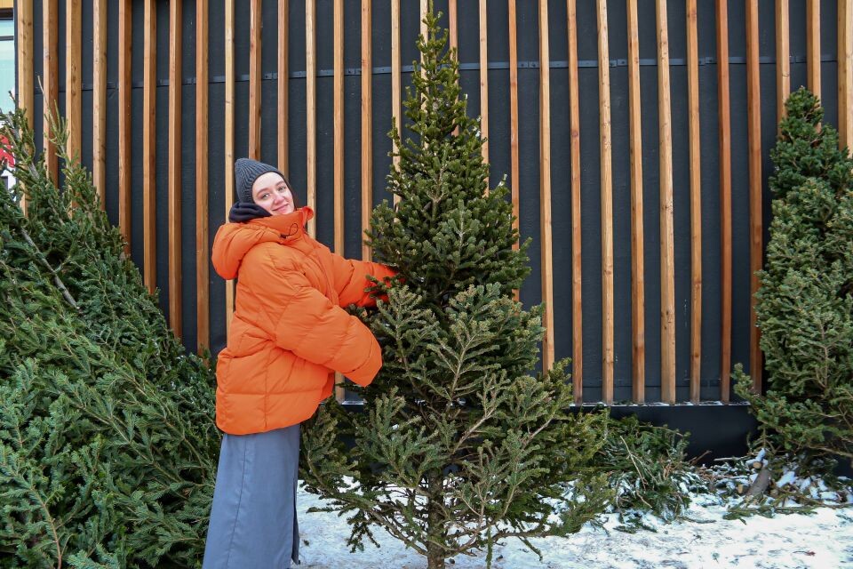    Елочный базар. Источник: Виталий Барабаш