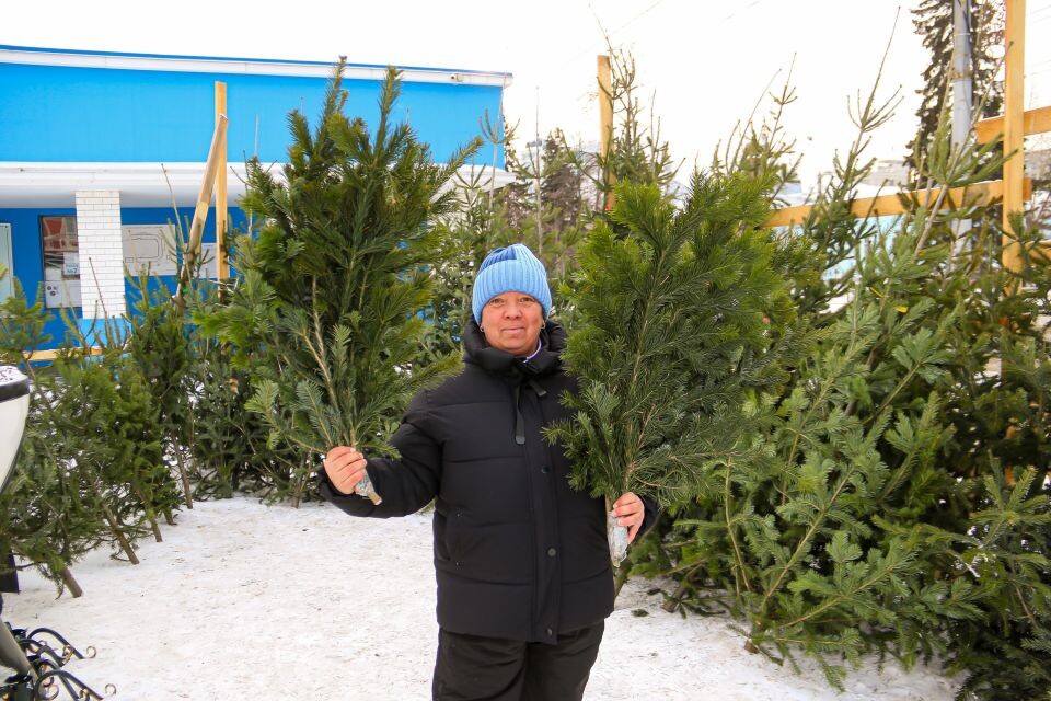    Елочные базары в Барнауле. Источник: Виталий Барабаш