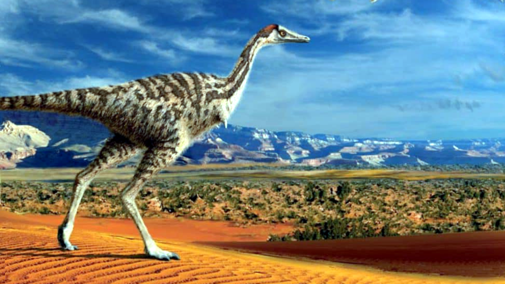 У некоторых из поздних же их считай что не осталось.