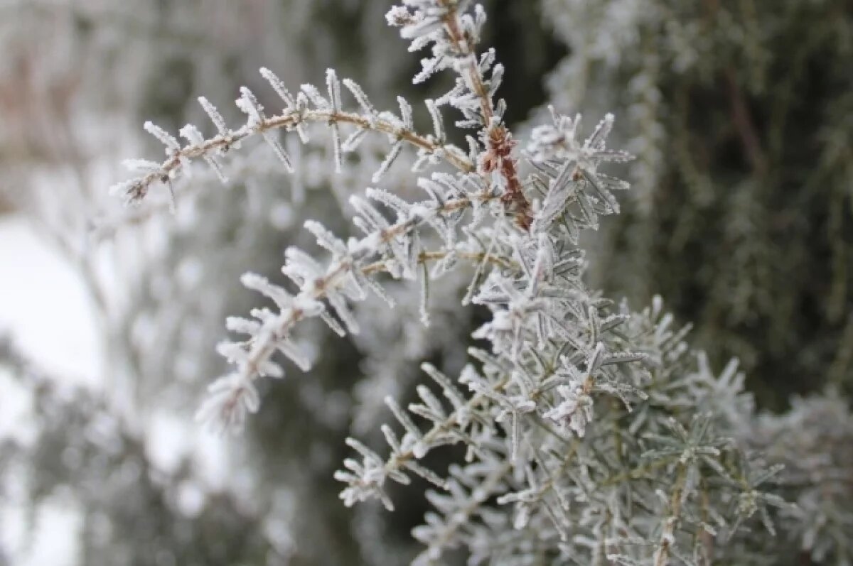    Ещё холоднее: какая погода будет в Хабаровском крае 17 декабря