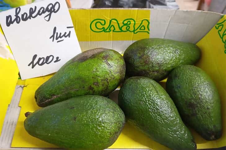    Фото из архива VN.ru