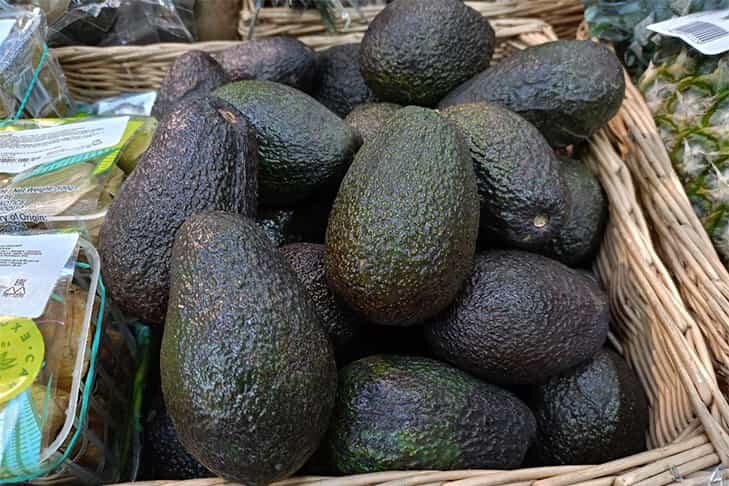 © Фото VN.ru.📷
