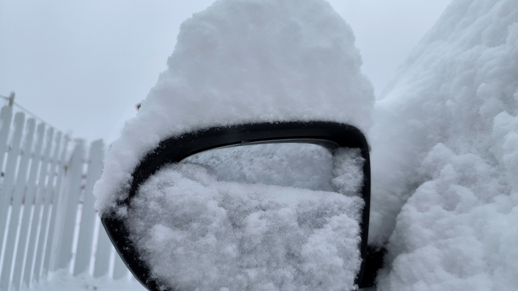    Фото: Maksim Konstantinov/Global Look Press/Globallookpress