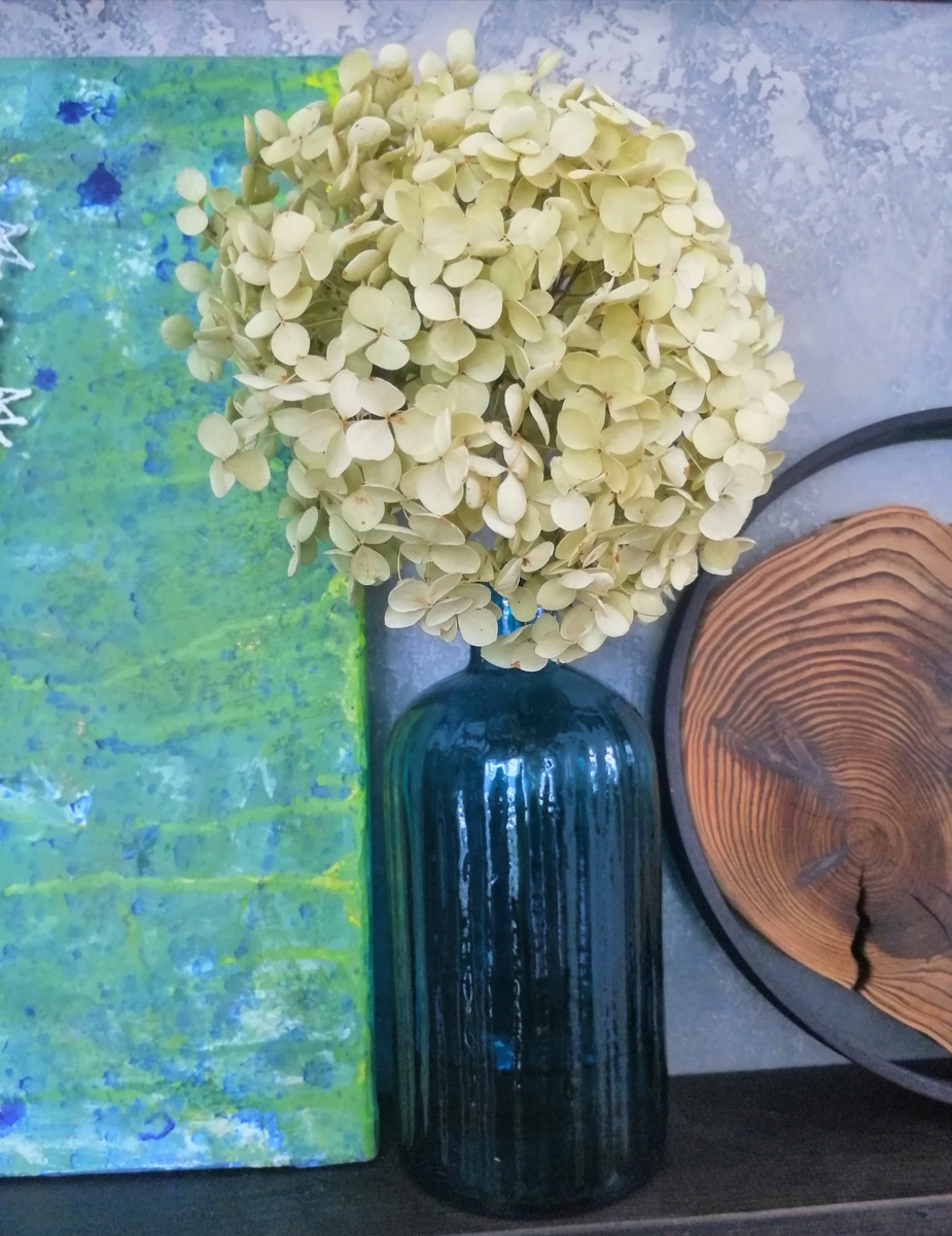 Это уже сухая, фото сегодняшнее. Только листочки убрала. 