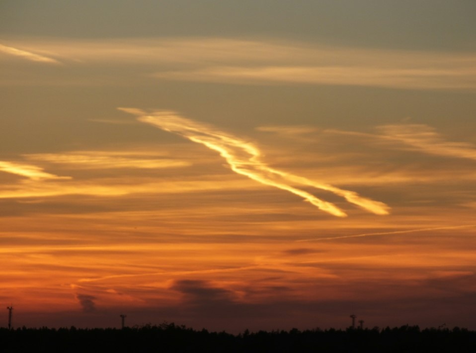    Фото: Victor Lisitsyn/Globallookpress