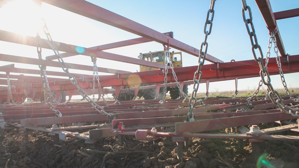     Источник: 1MI