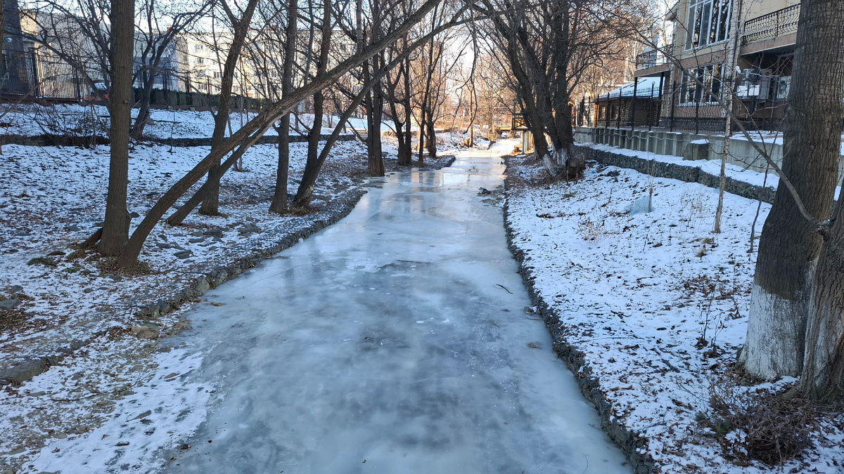 День. Река покрылась прозрачным льдом. 