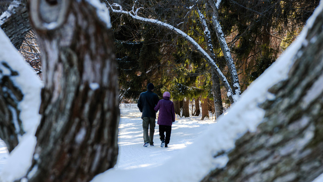    Фото: Anastasia Sorgina/URA.RU/Globallookpress