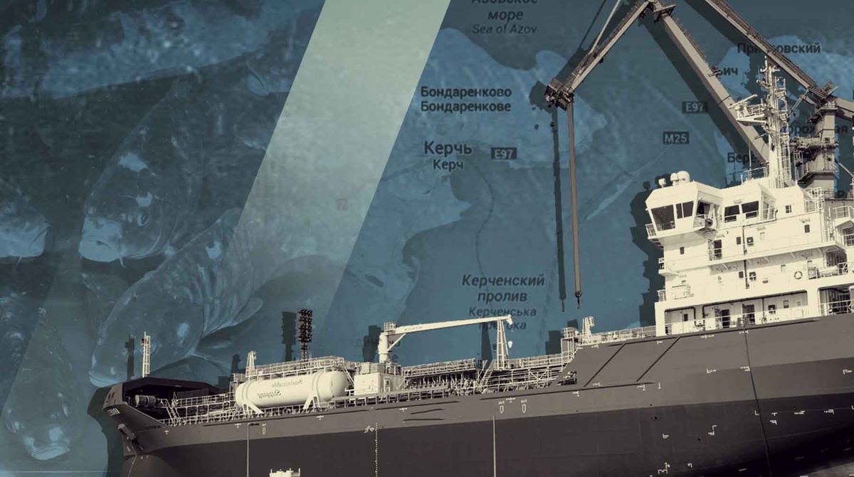    Коллаж: Daily Storm