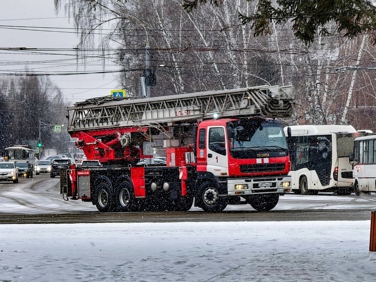     Фото: Дмитрий Еланаков/БФМ-Томск