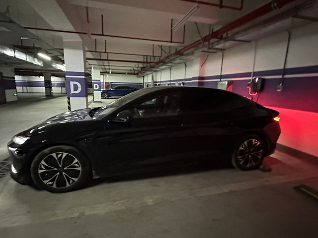 Черная пантера вид сбоку