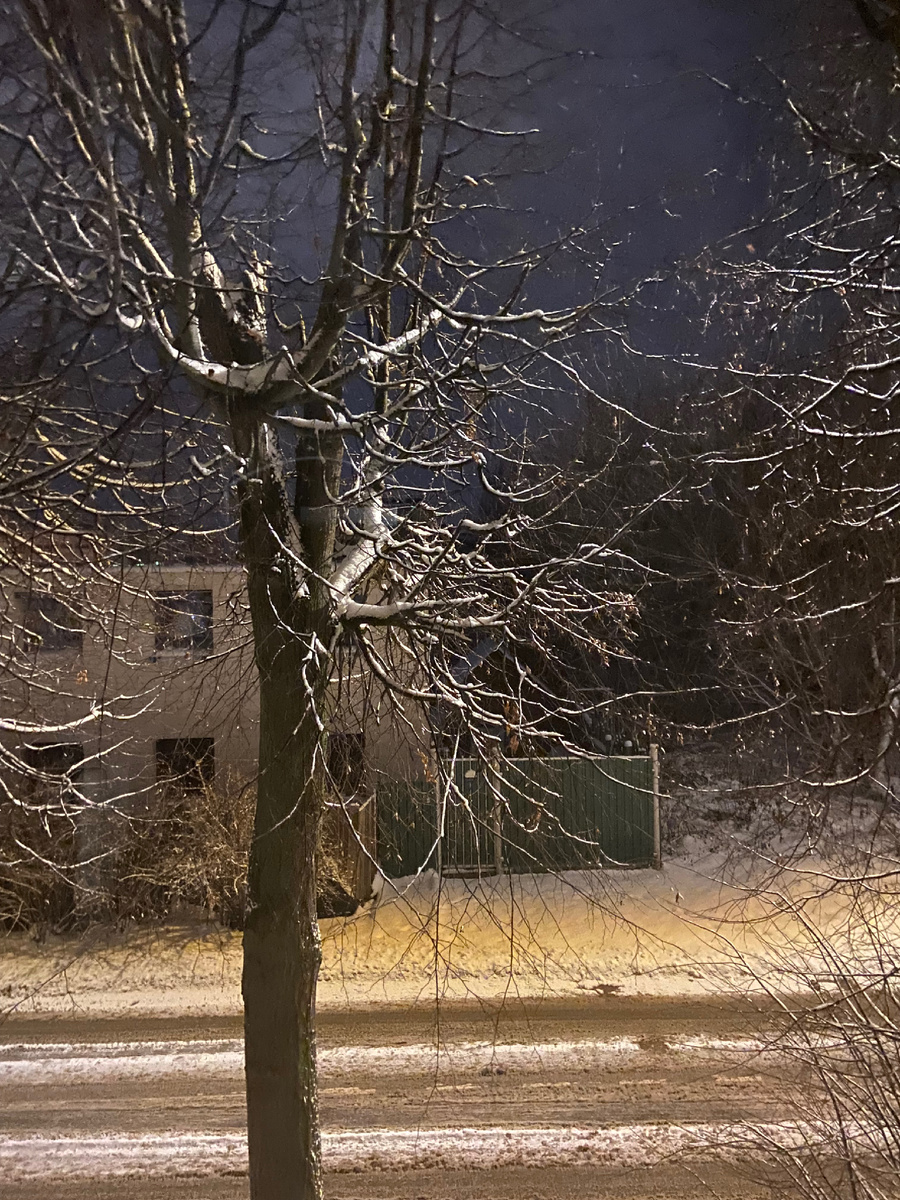 Вид из моего окна.