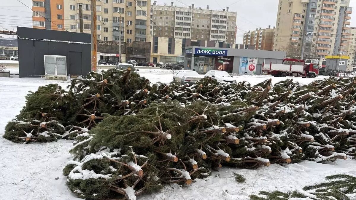     Источник: соцсети Алексея Лошкина