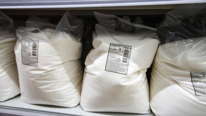 Фото: Aleksander Polyakov/Global Look Press