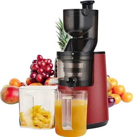 Соковыжималка шнековая ROAL ALW-J16