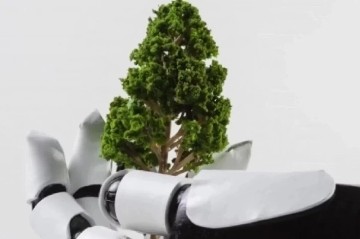    Семья из Салехарда победила на экологическом фестивале #Понемусорим