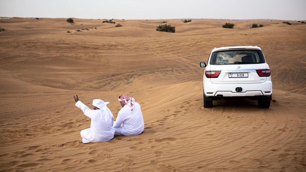    Фото: Wiktor Dabkowski/Globallookpress