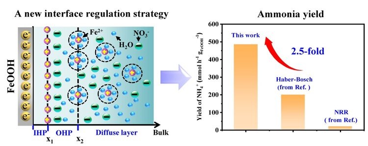     Для риса изобретены особые электрохимические азотные удобрения для экономической и экологической стабильности
