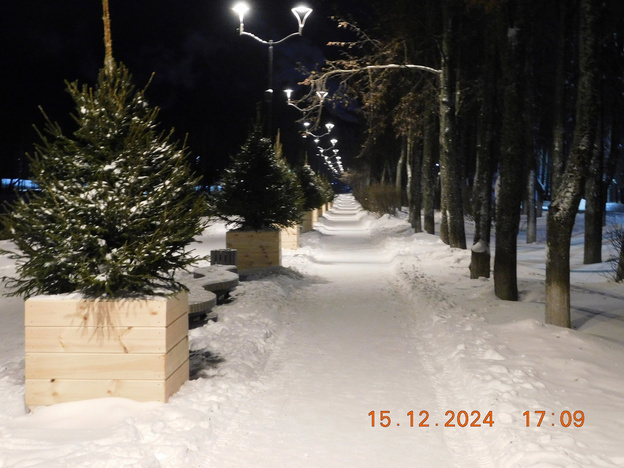    Набережную в Белой Холунице украшают ёлками