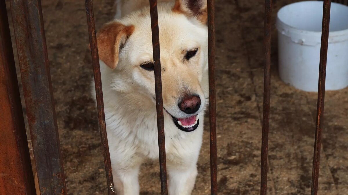     Источник: 1MI