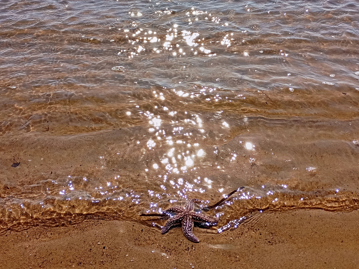 Японское море. Фото автора.