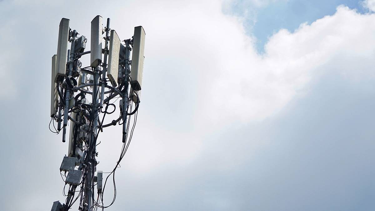    Фото: Shutterstock