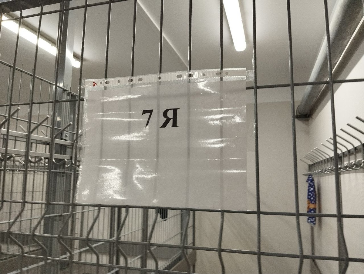 Школы максимально переполнены.  Фото: Фото: ФедералПресс / Екатерина Ломакина