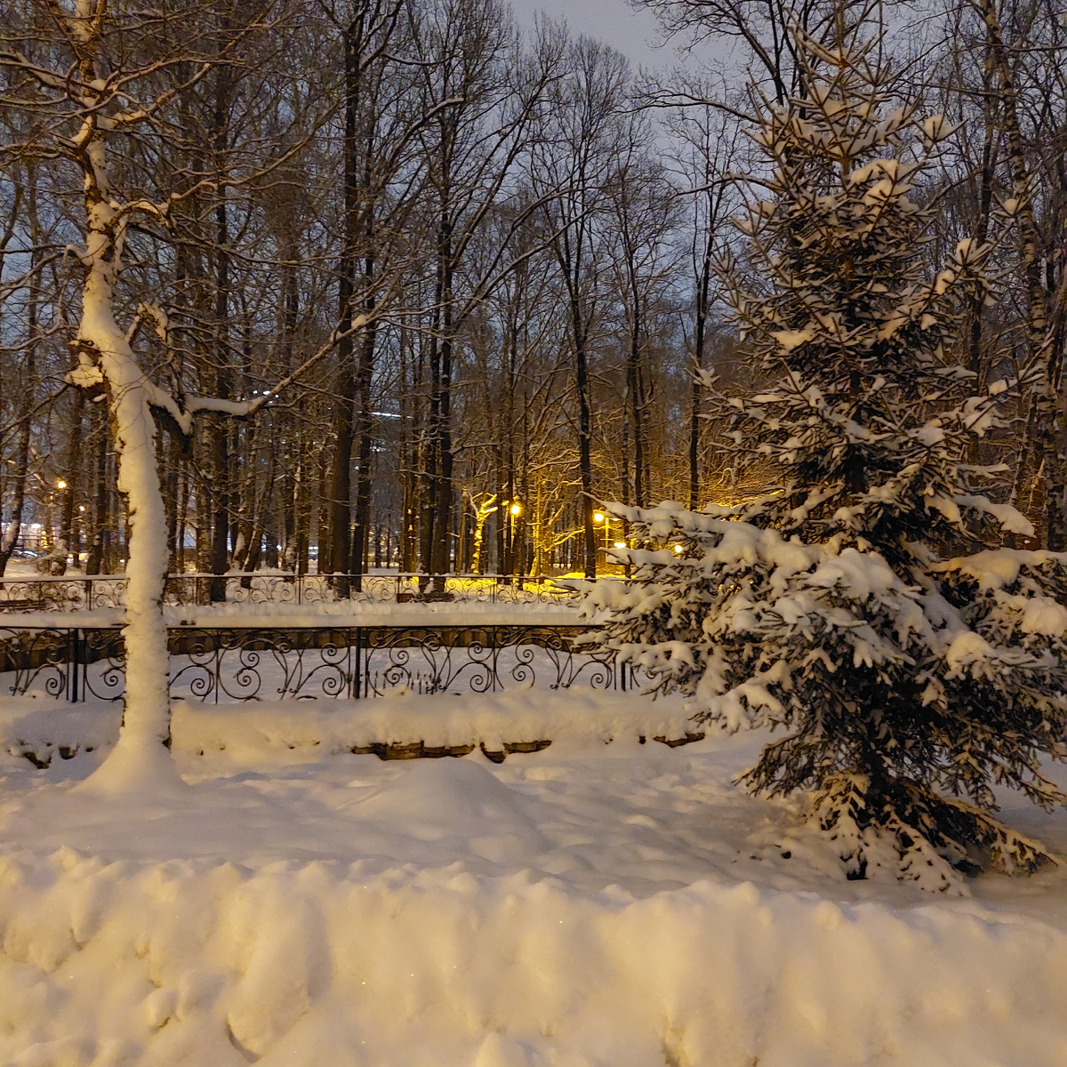 Фото автора.