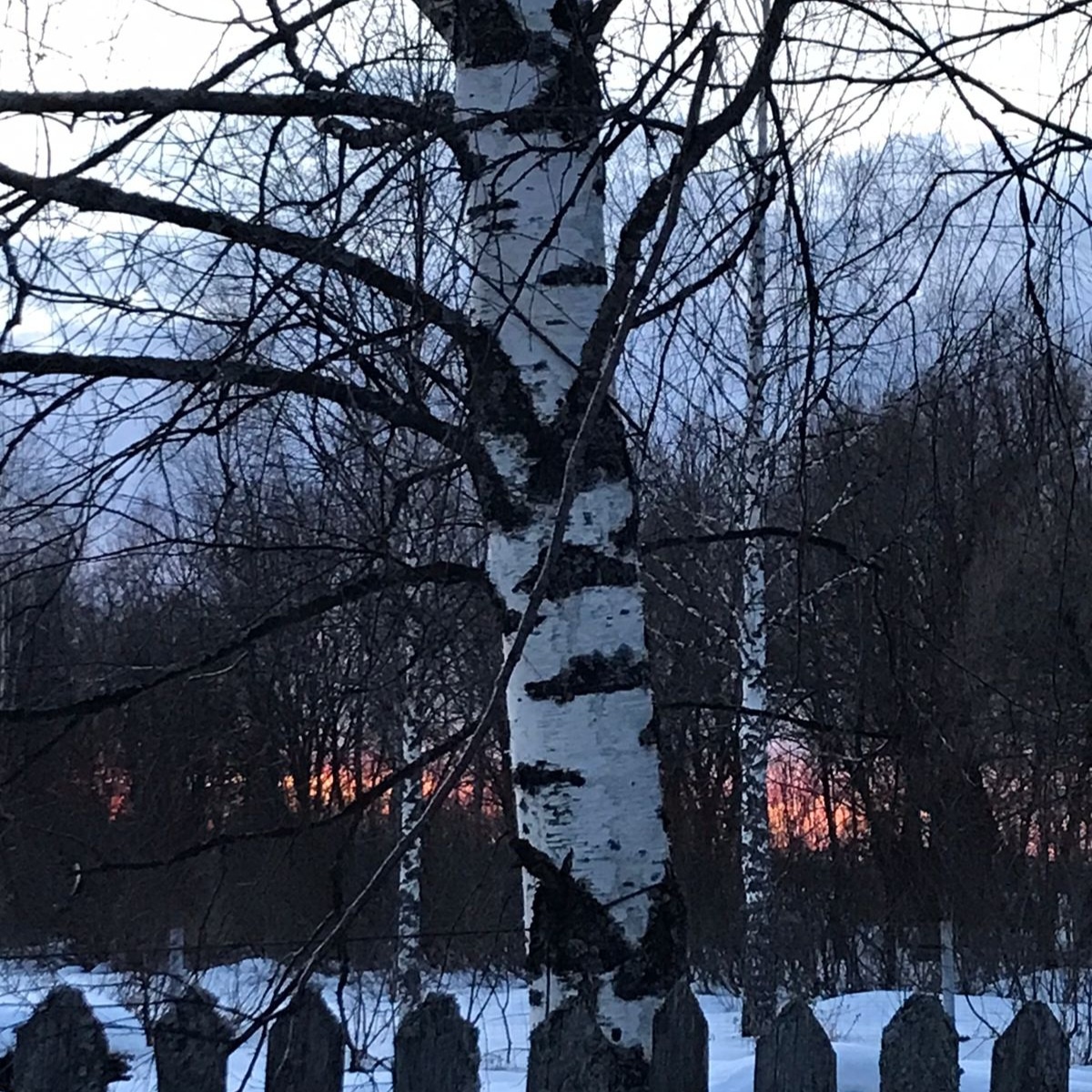 Фото автора.