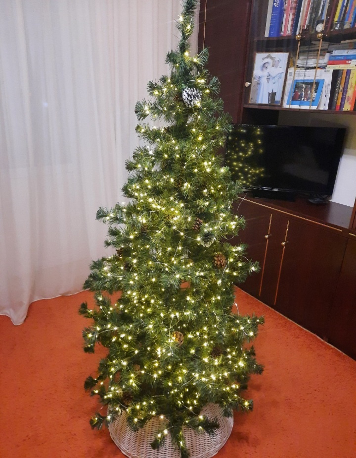 Фотография автора 