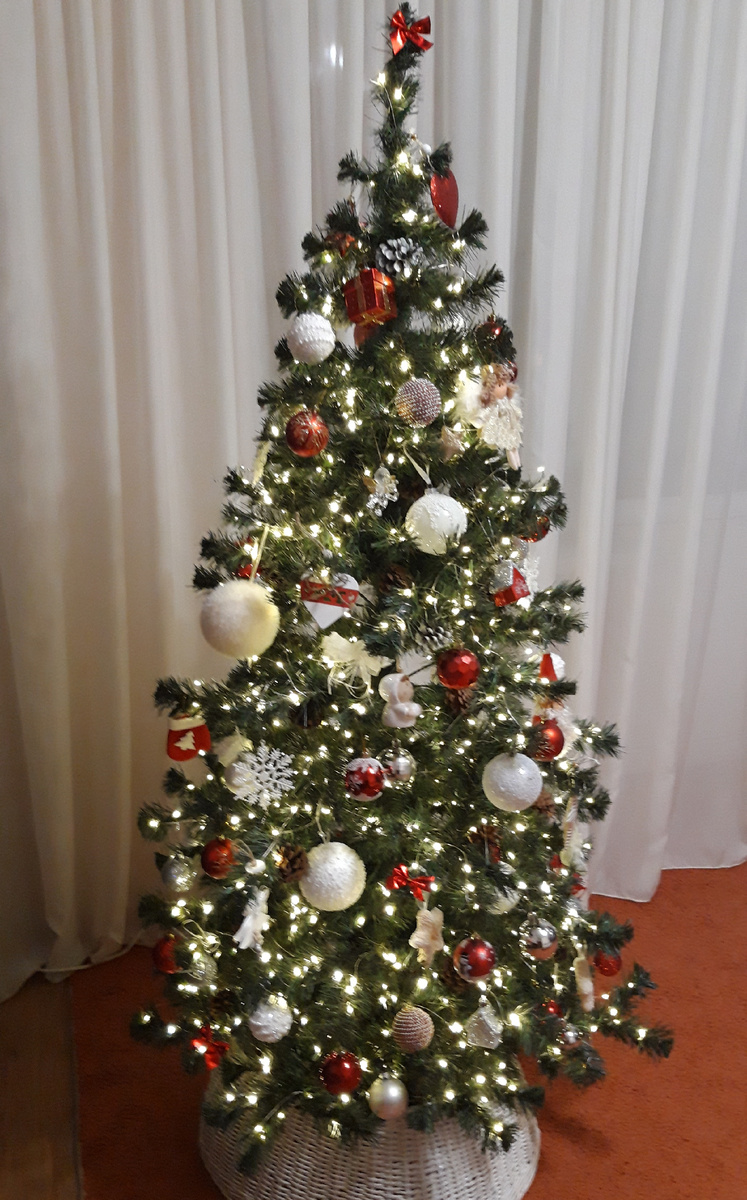 Фотография автора 