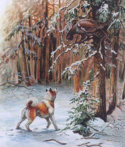 Охота с лайкой. Взято из открытых источников интернета