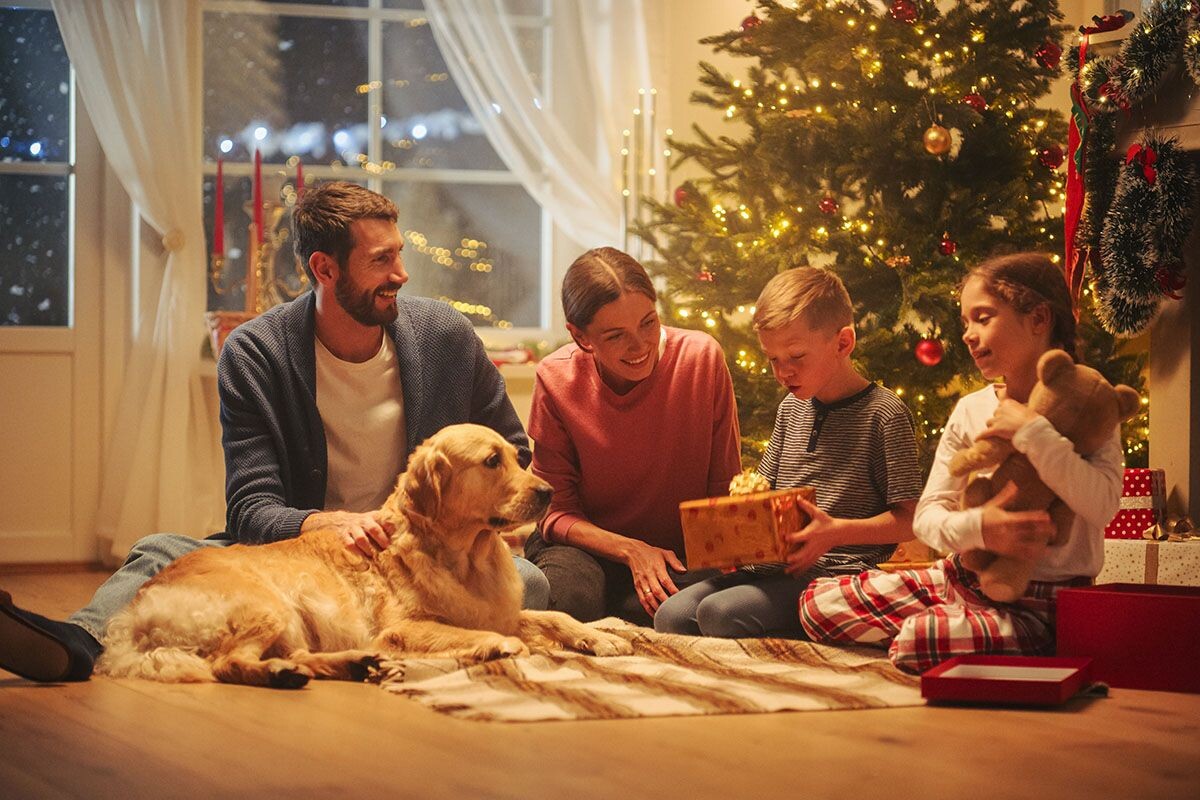 Запланируйте досуг на каникулы со всей семьей. Источник: Shutterstock📷
