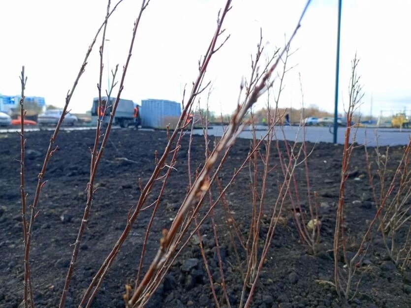 Фото: Евгения Александрова