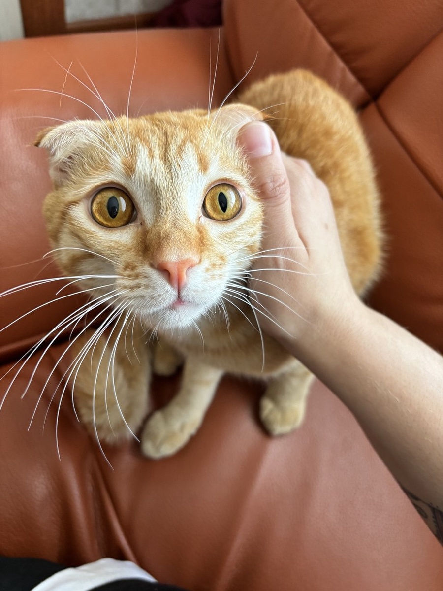     Фото: sibnovosti.ru