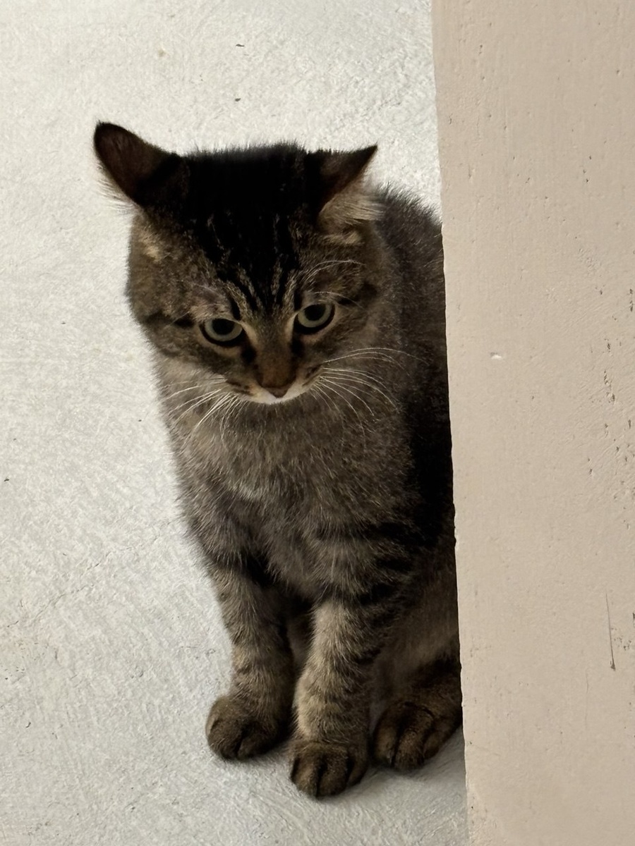     Фото: sibnovosti.ru