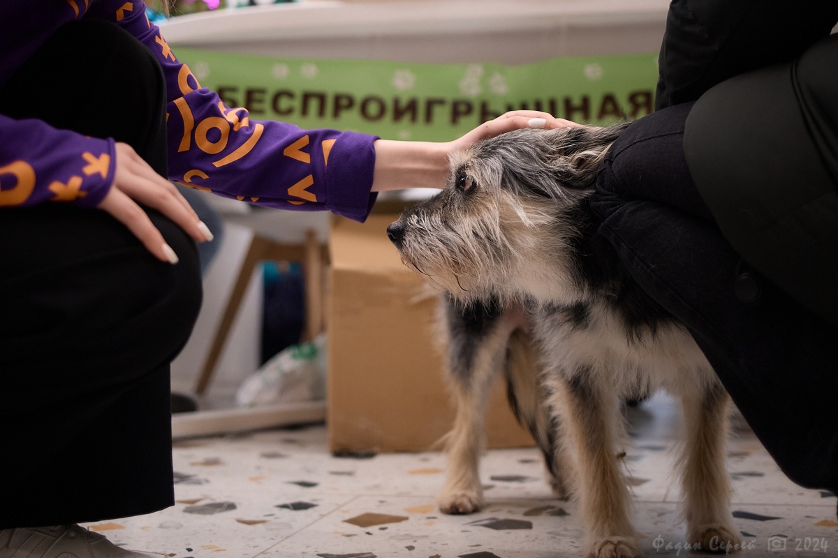 Автор фото Сергей Фадин