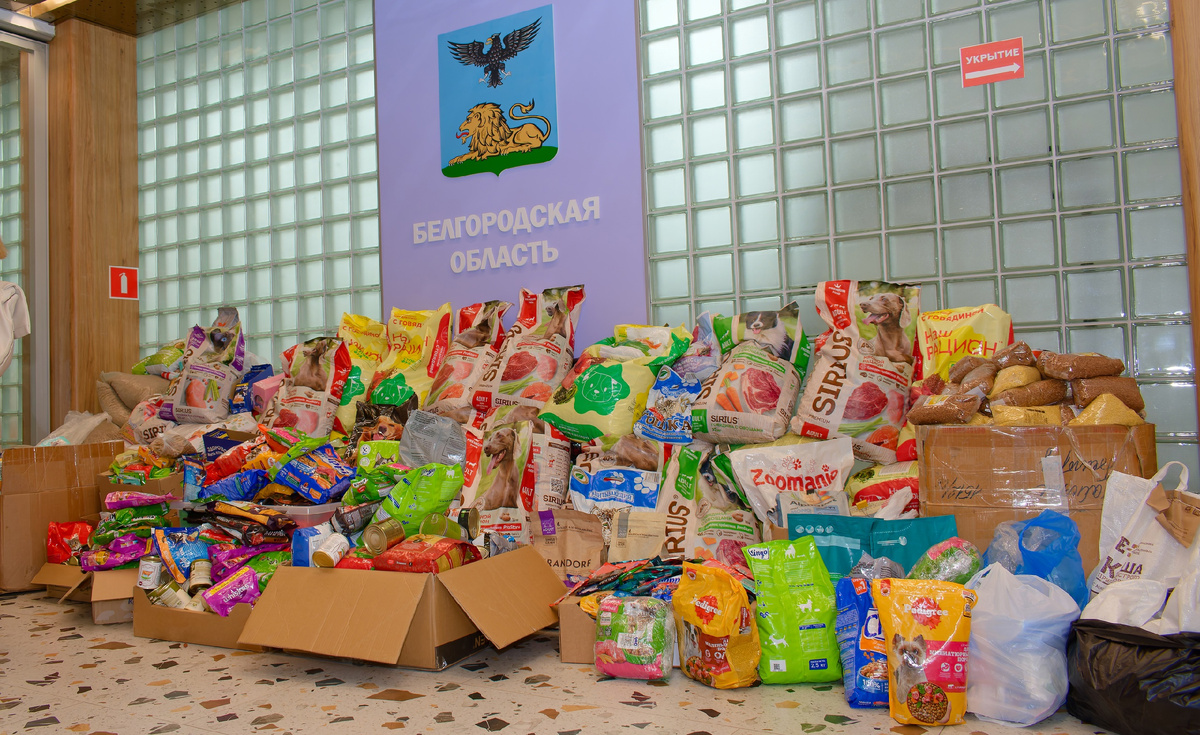 Автор фото Максим Степаненко