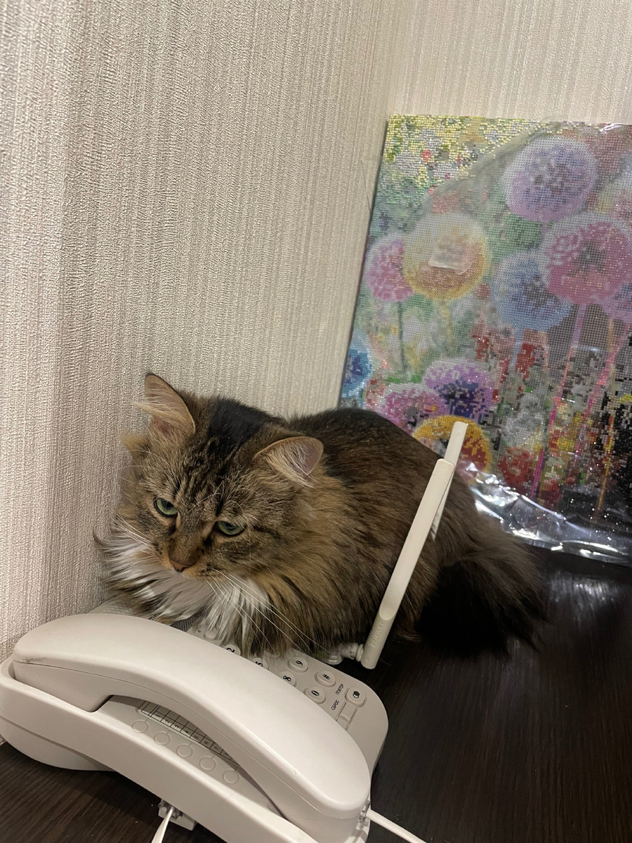 Тошик скучает и пока нам с ним остается только вспоминать 