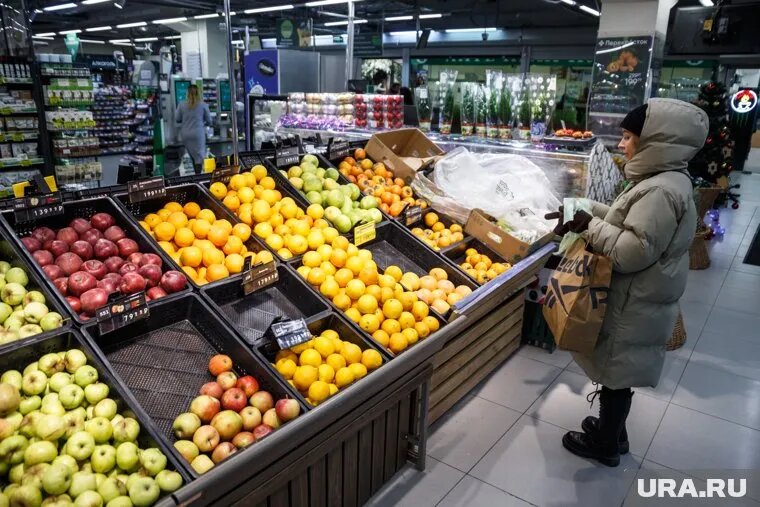 Искусственный свет необходим плодам и овощам в большинстве климатических зон России, рассказали эксперты. Фото: Илья Московец © URA.RU