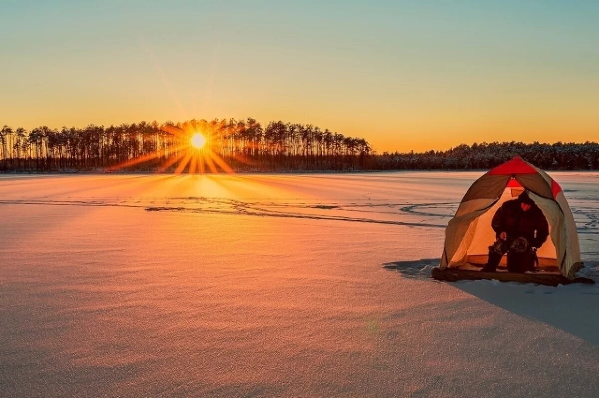    Всего на победу претендовали больше двух тысяч авторов.