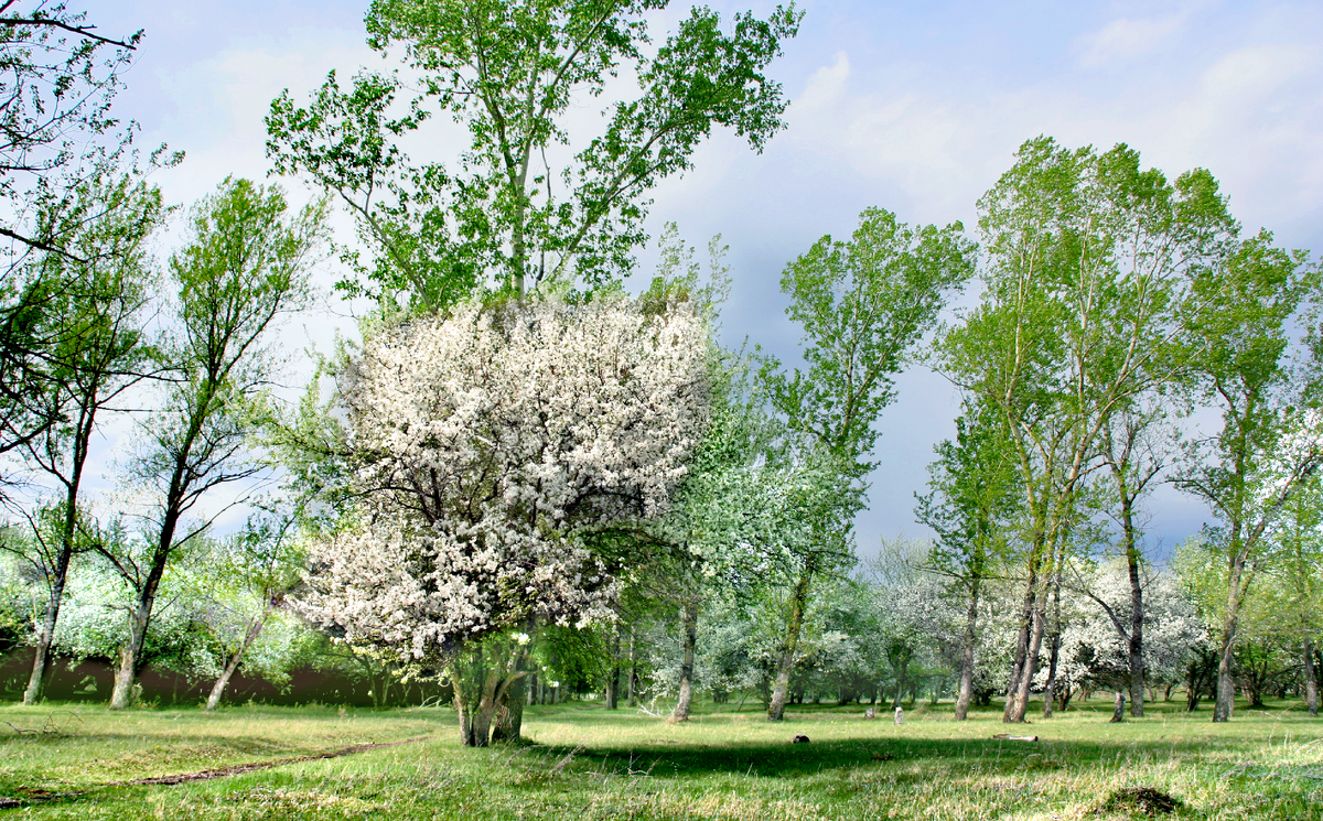 Фотография, стихотворение Василия Глуцкого
