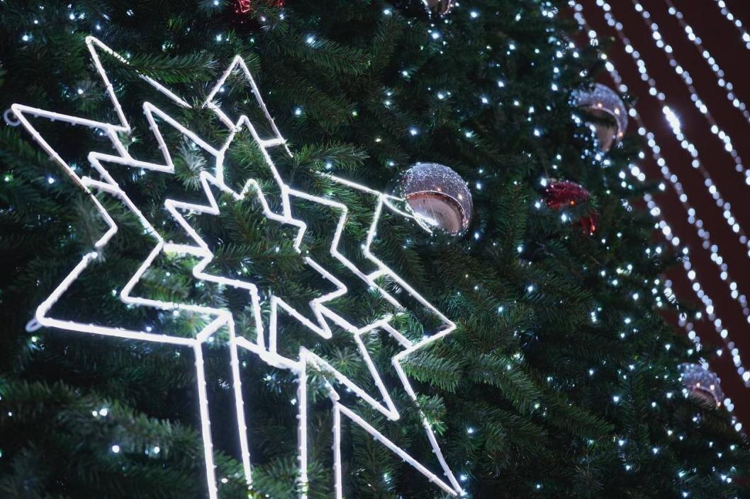 Фото: Сергей Мжельский ИА "Тюменская линия"