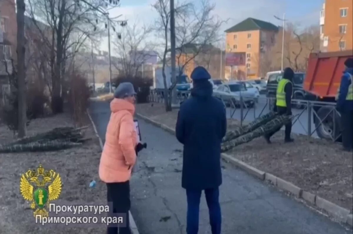    Кадры с изъятия незаконно продающихся елей